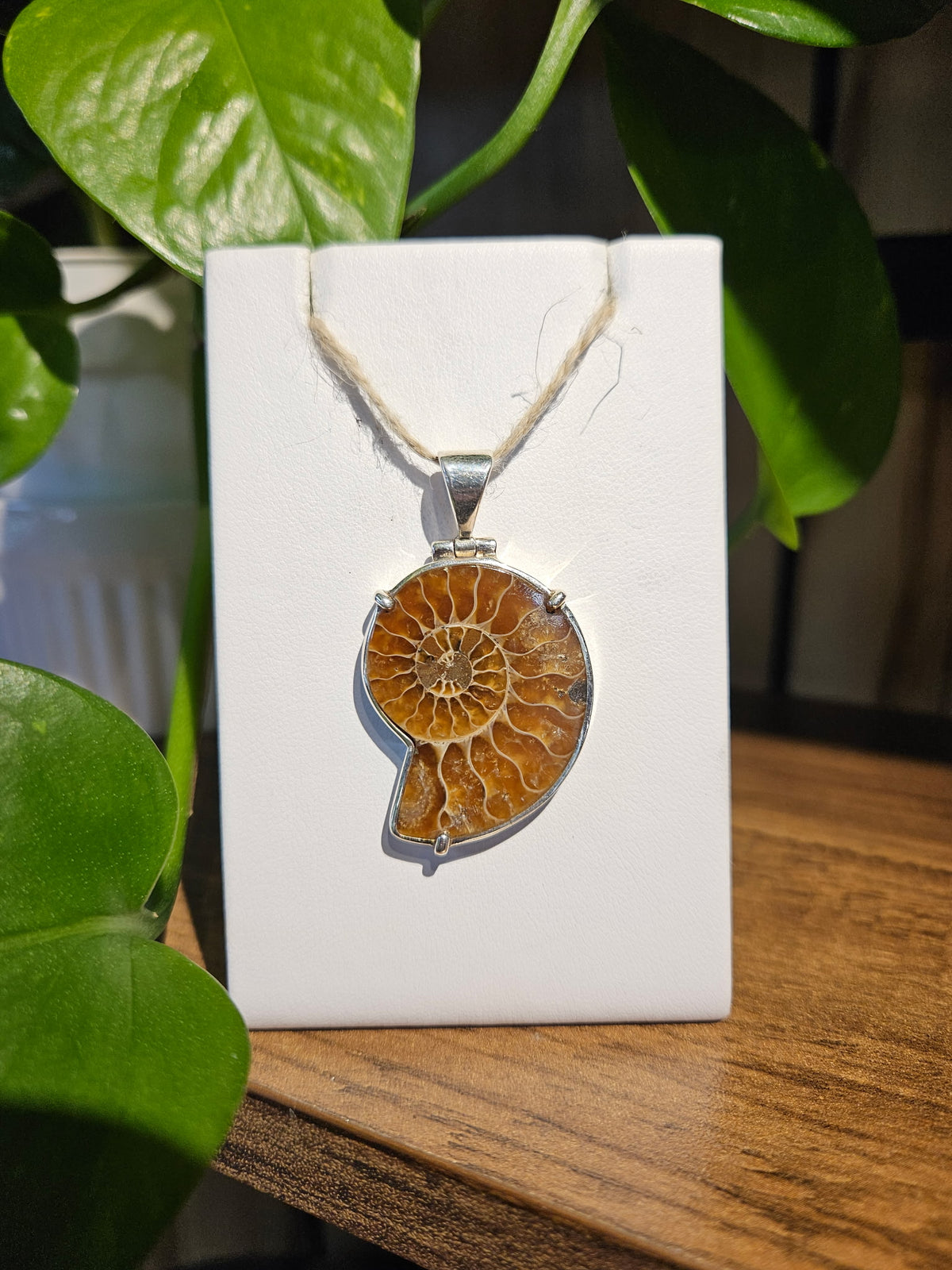 Ammonite Pendant