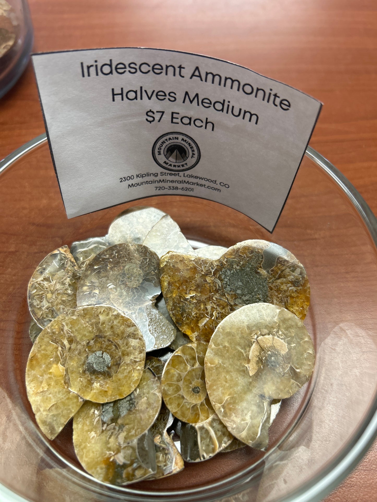 Iridescent Ammonite Halves medium