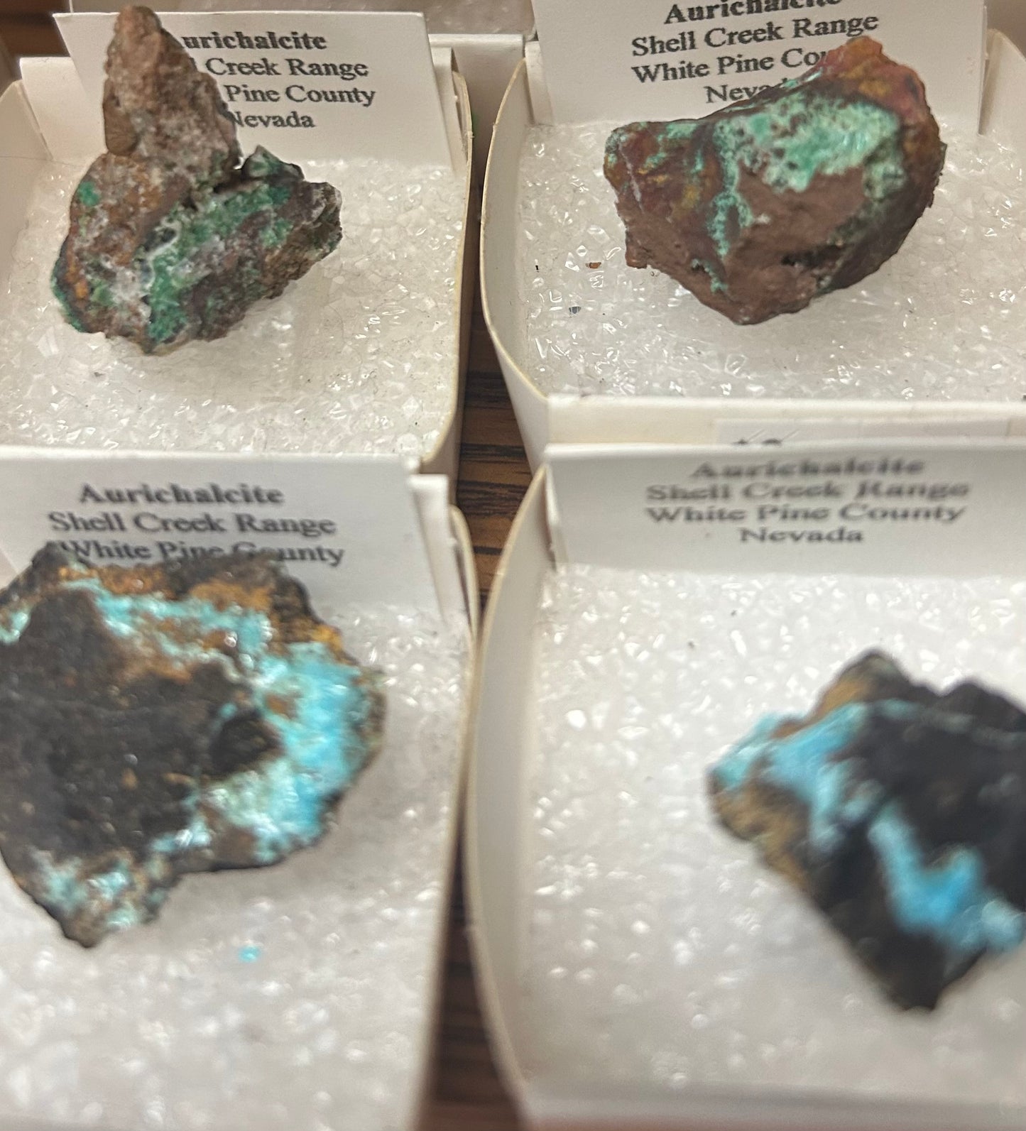 Aurichalcite Specimens Nevada