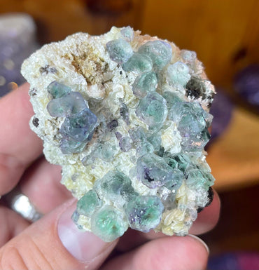 Bi Color Fluorite on yellow Muscovite MMM