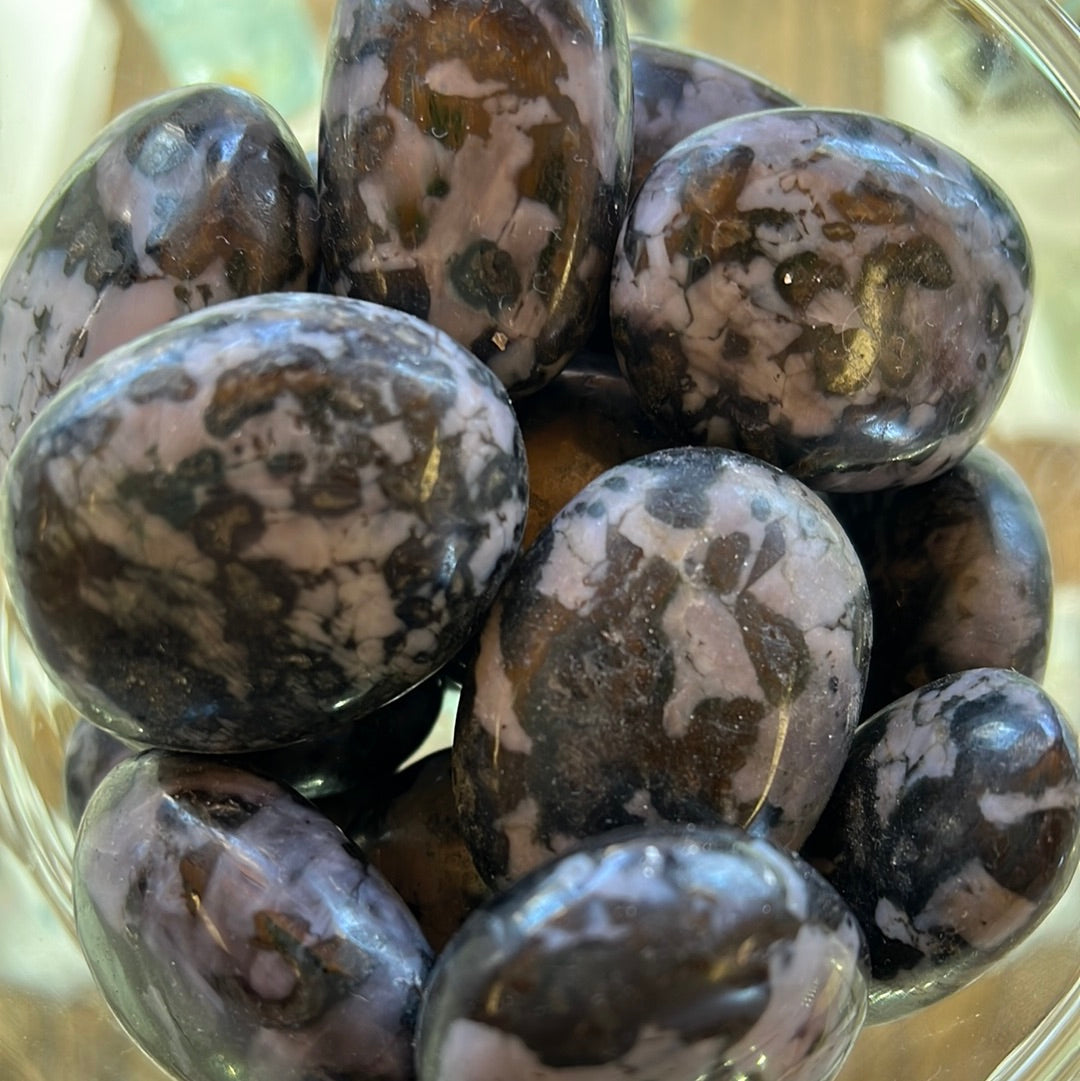 Gabbro aka merlinite gallets MMM