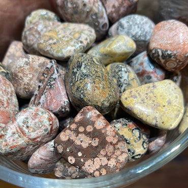 Leopard Skin Jasper Tumbles Mountain Mineral Market