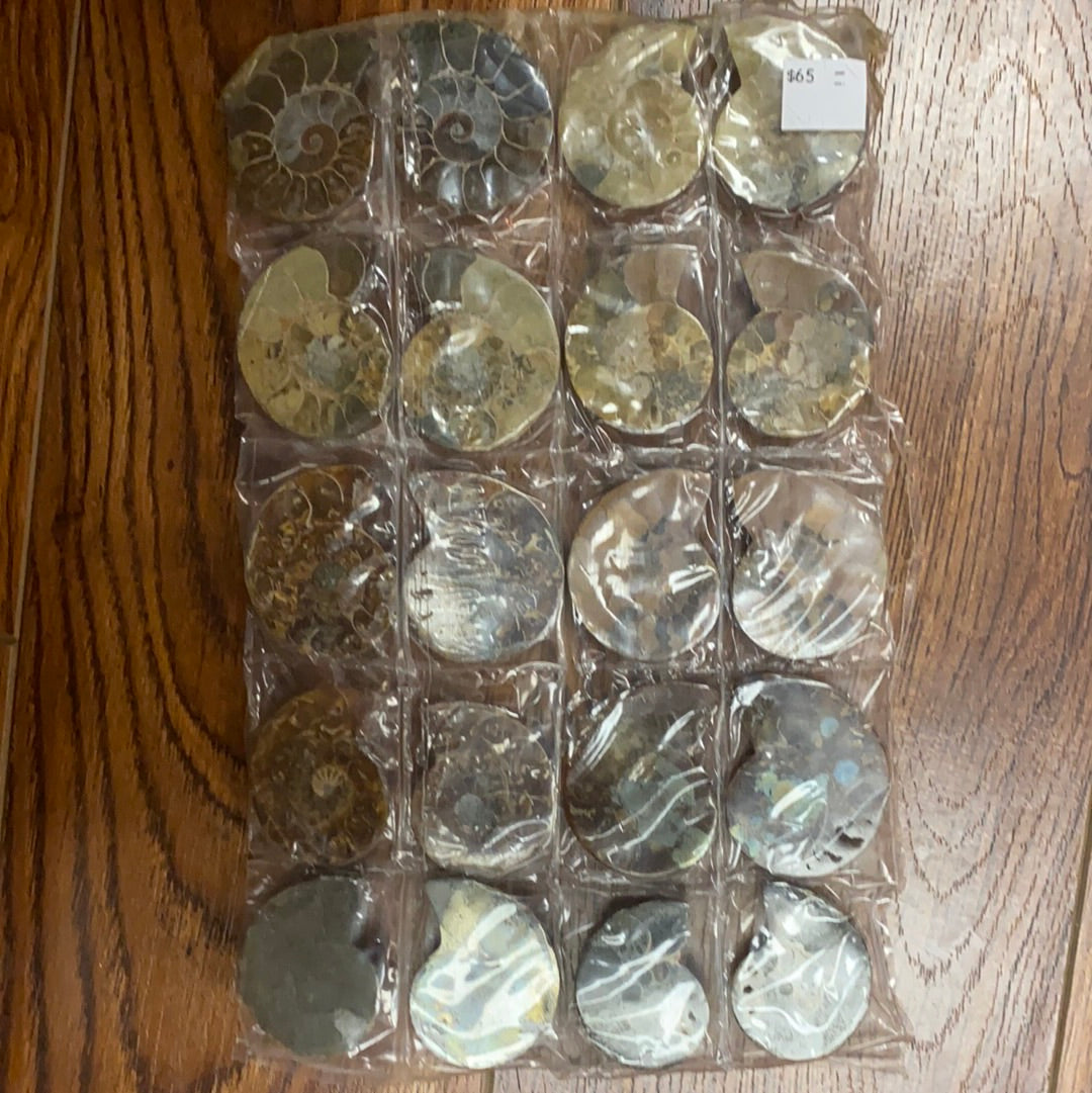 Iridescent Ammonite sheets MMM