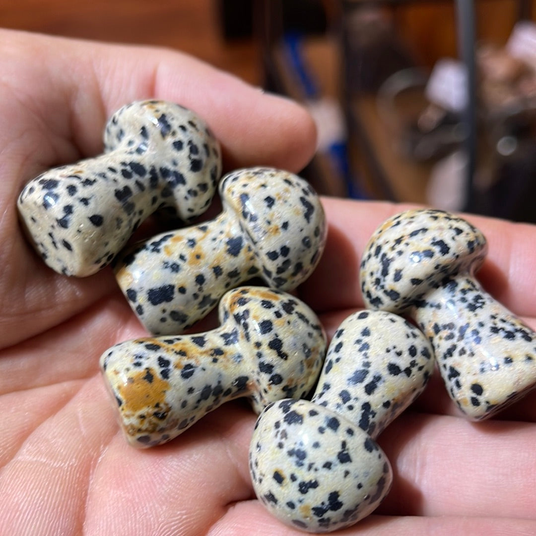 Dalmatian Jasper Mushrooms 1.5 inch Mountain Mineral Market