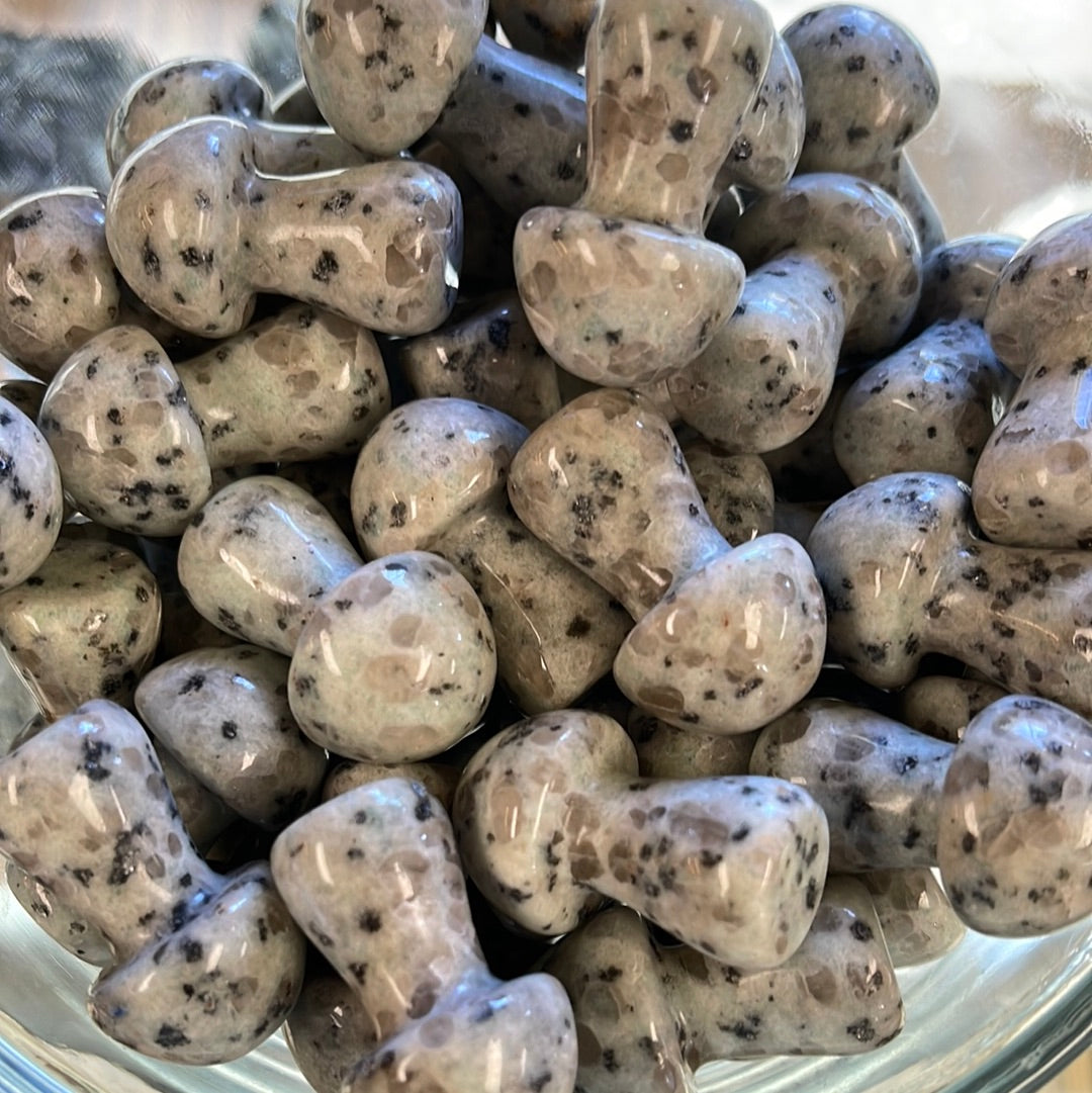 Kiwi jasper Mushrooms 1.5 inch Mountain Mineral Market