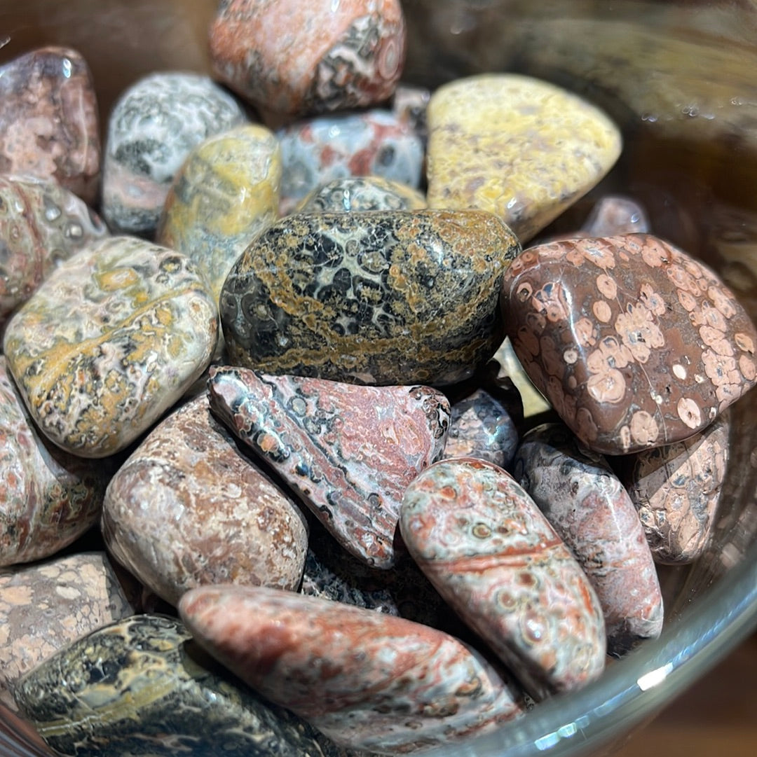 Leopard Skin Jasper Tumbles Mountain Mineral Market