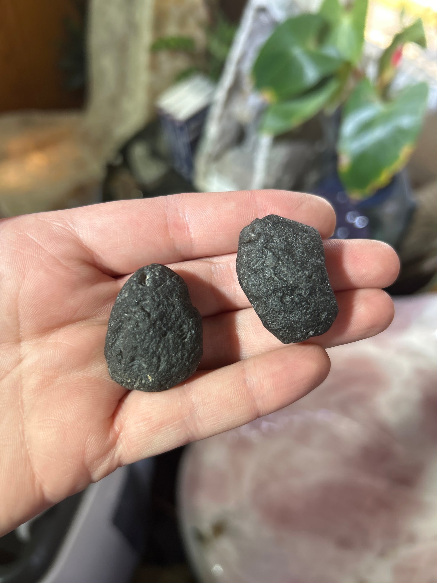 Agni Manitite