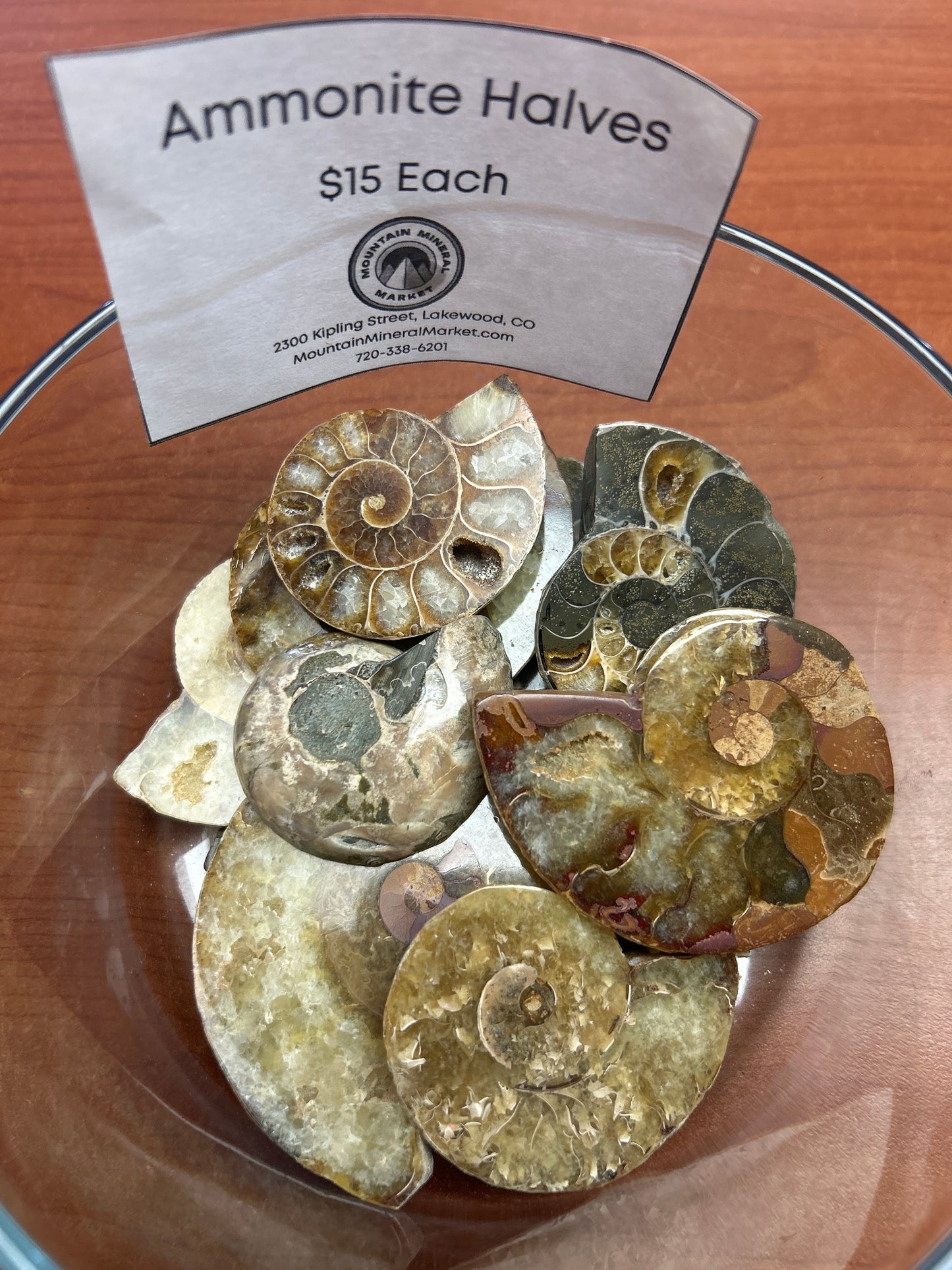 Iridescent Ammonite Halves Large