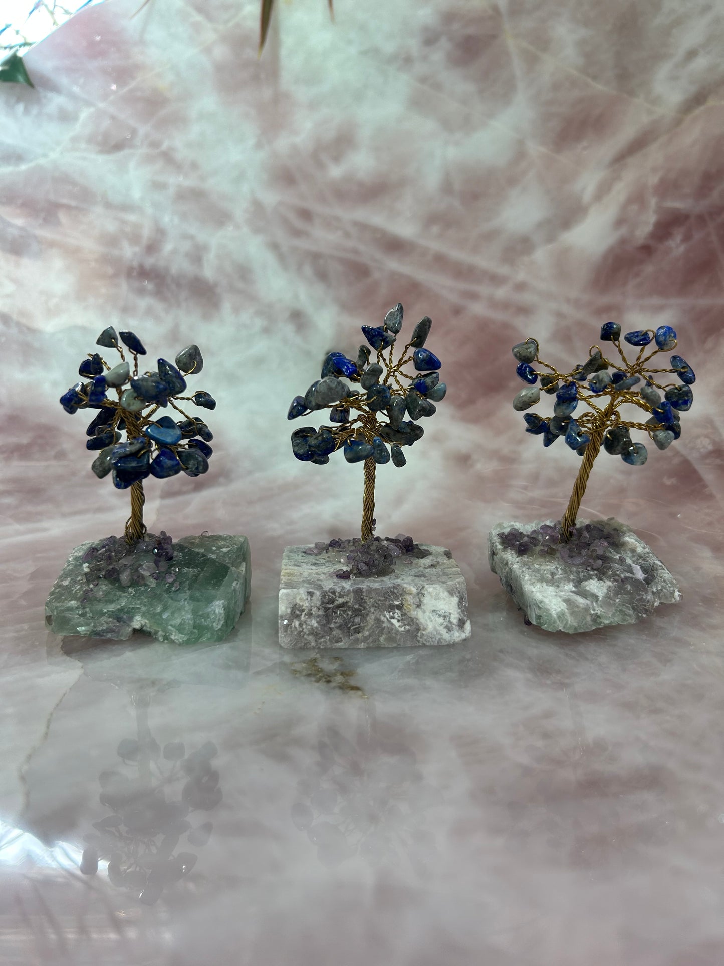 Gem Trees on Fluorite Base
