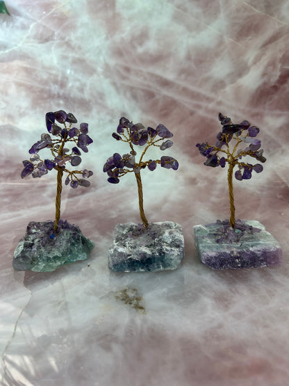 Gem Trees on Fluorite Base