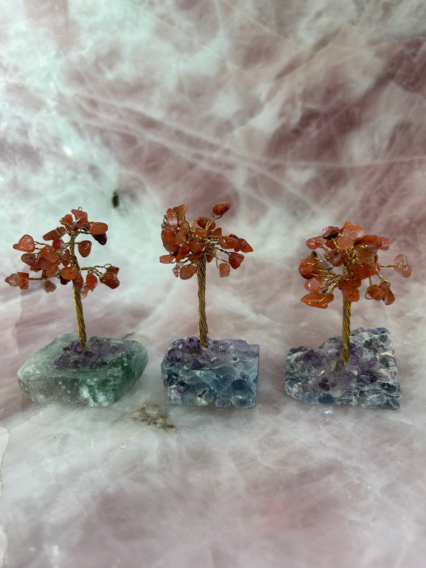 Gem Trees on Fluorite Base