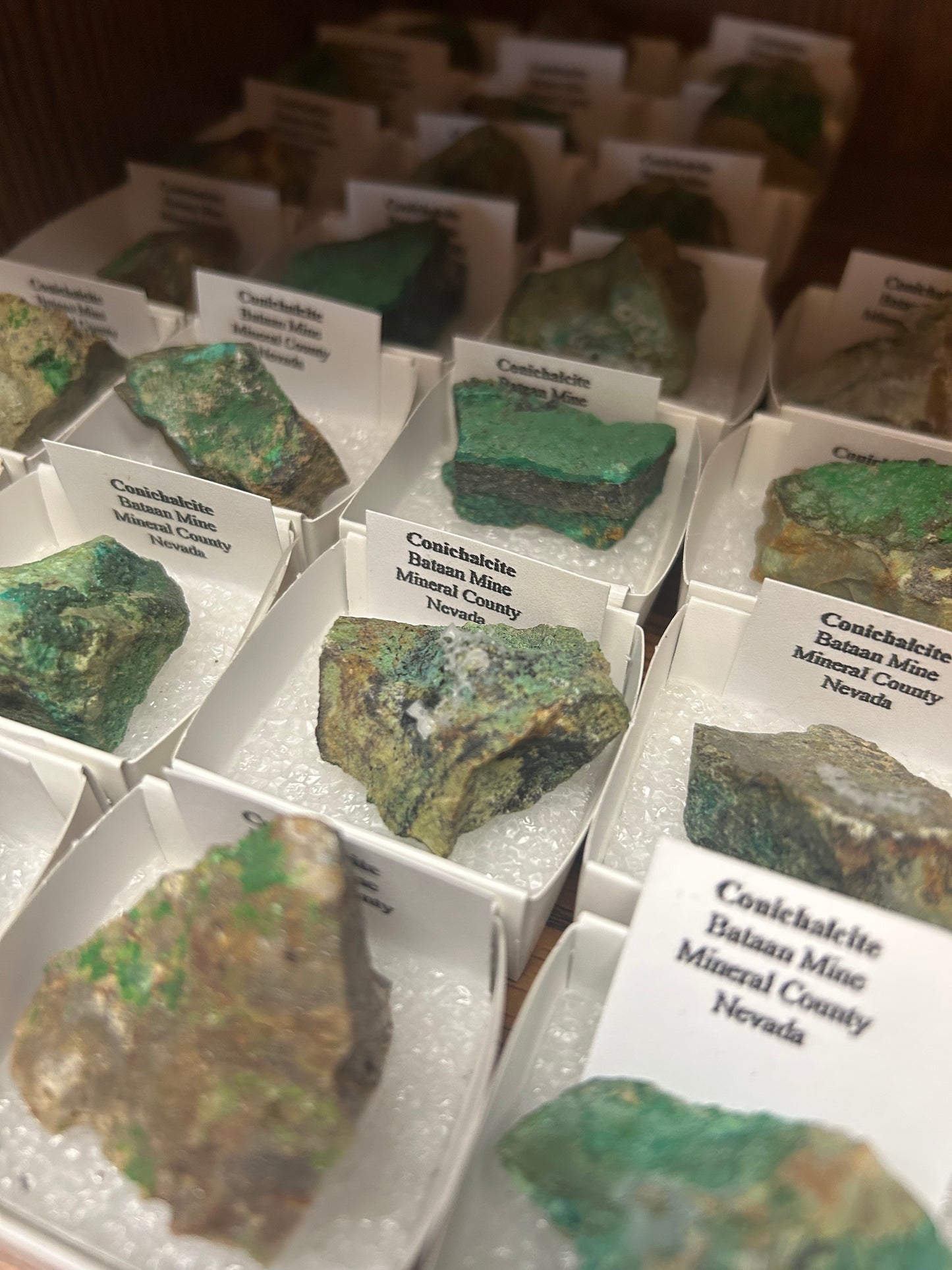 Conichalcite Specimens Nevada