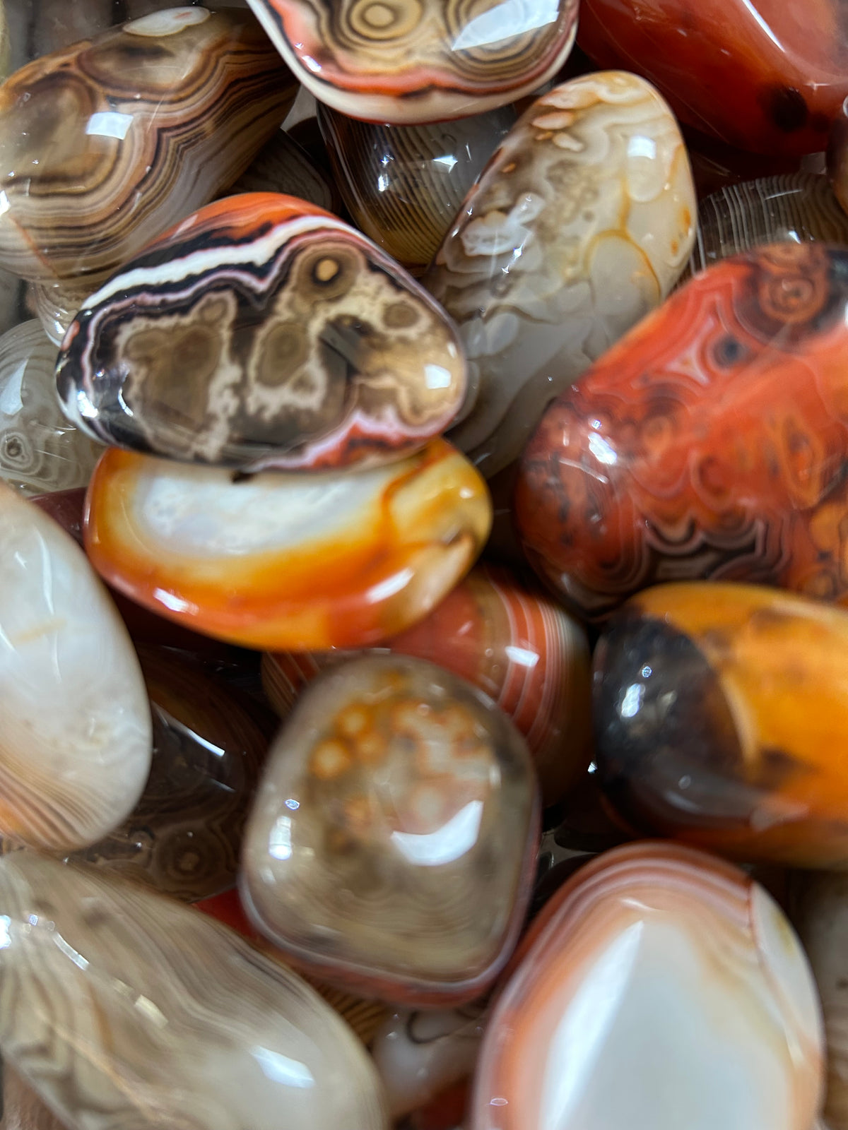 Sardonyx Palms