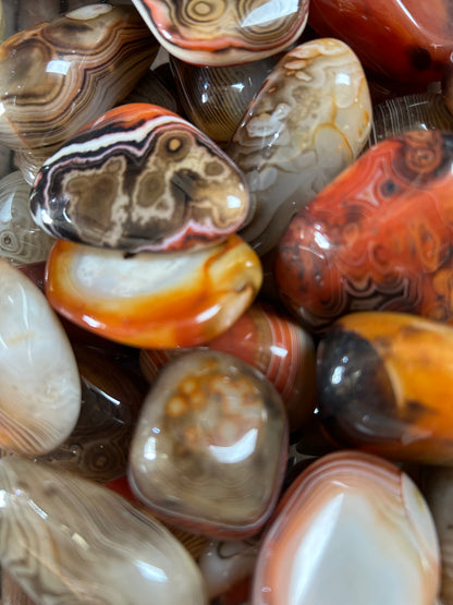 Sardonyx Palms