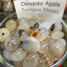 Load image into Gallery viewer, Dendritic Agate Tumbles
