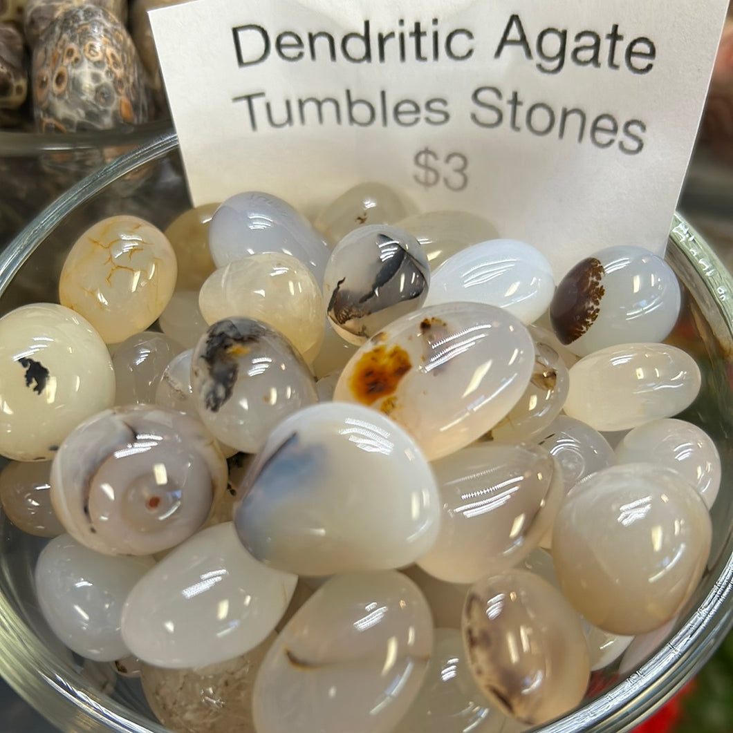 Dendritic Agate Tumbles