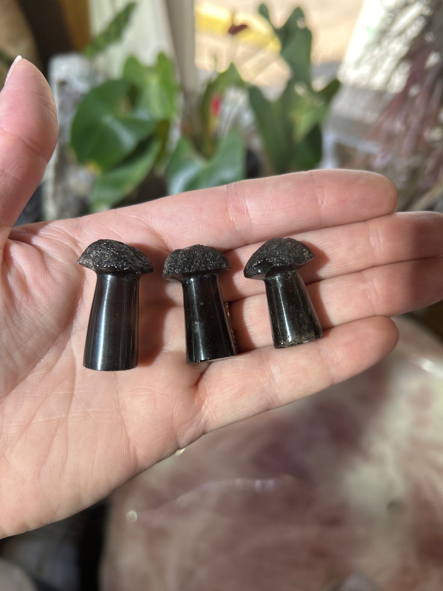Agni Manitite Mushroom