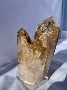 Goboboseb Mountains. Erongo Region, Namibia.  Weight: 603 grams  Dimensions: L 5.5 x W 3.25 inches x H 5 inches  One of my personal favorites. This is the best example of fenster quartz I can think of. The black hole at the top of the main termination literally eats light. Epic is an understatement.