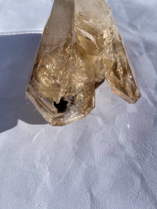 Goboboseb Mountains. Erongo Region, Namibia.  Weight: 603 grams  Dimensions: L 5.5 x W 3.25 inches x H 5 inches  One of my personal favorites. This is the best example of fenster quartz I can think of. The black hole at the top of the main termination literally eats light. Epic is an understatement.