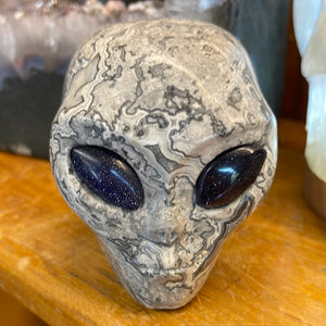 Alien Skull