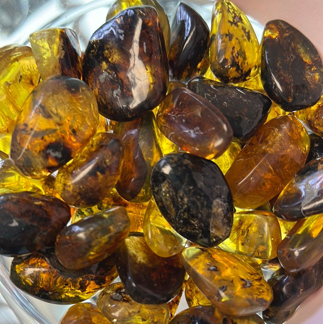 Amber Baltic MMM